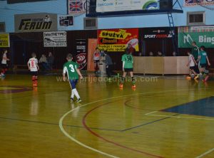 mladost-2017-10januar-3